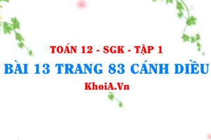 Bài 13 trang 83 Toán 12 tập 1 Cánh Diều